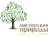 мастерская природы
