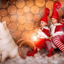 Фотосессия с животными на Новый Год Фотосессия с животными на Новый Год