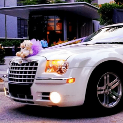 Лимузин на выписку из роддома Лимузин на выписку из роддома